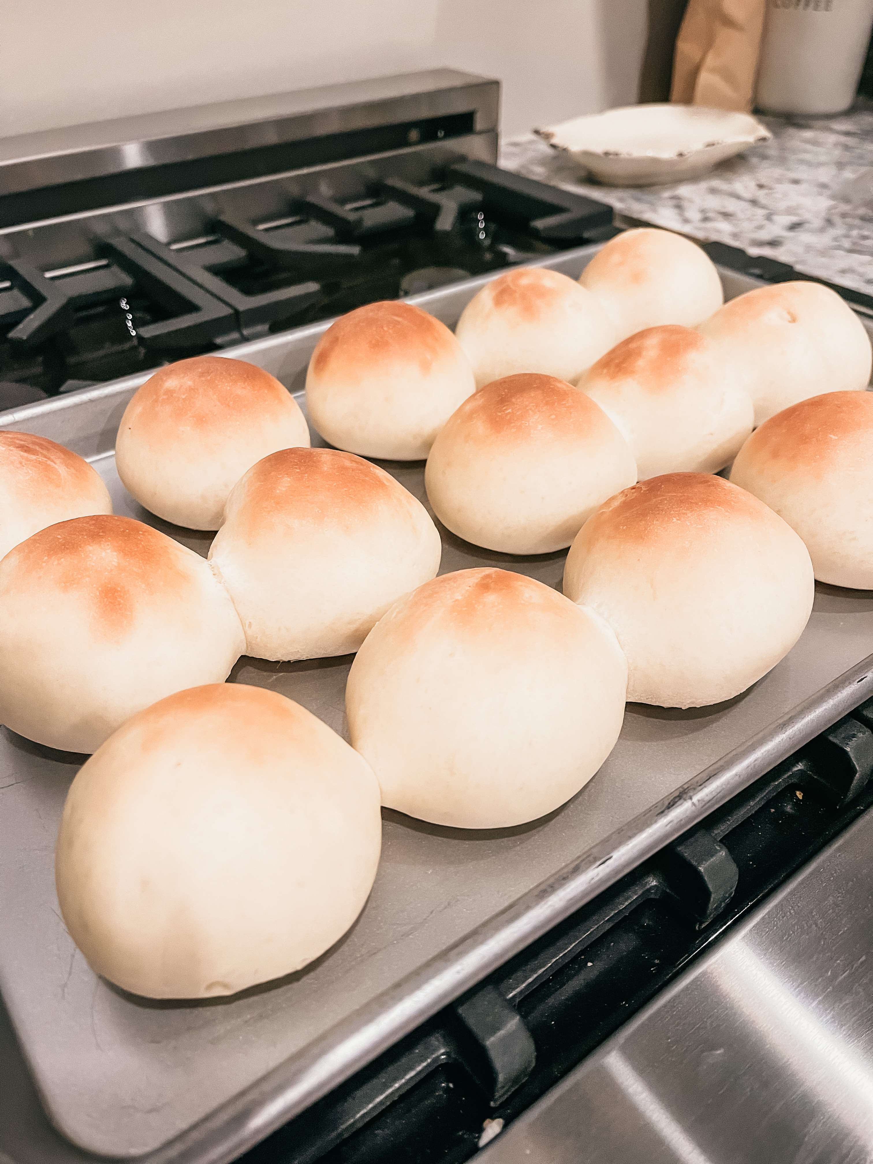 Dinner Rolls