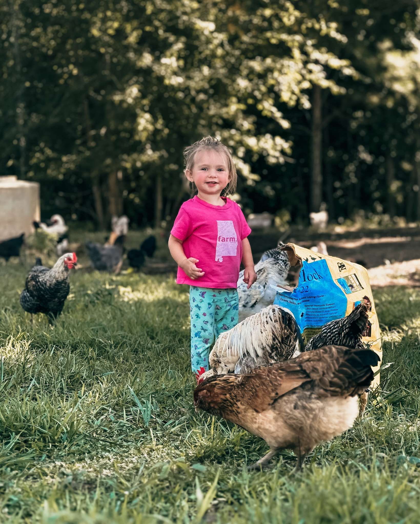 Delicious and Easy Recipes | Karah at Rock House Farms